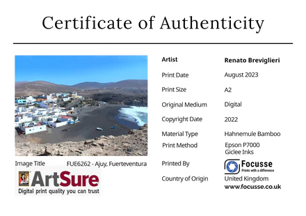 An example of a Certificate of Authenticity listing the specification of the picture plus an image of the ArtSure registration.